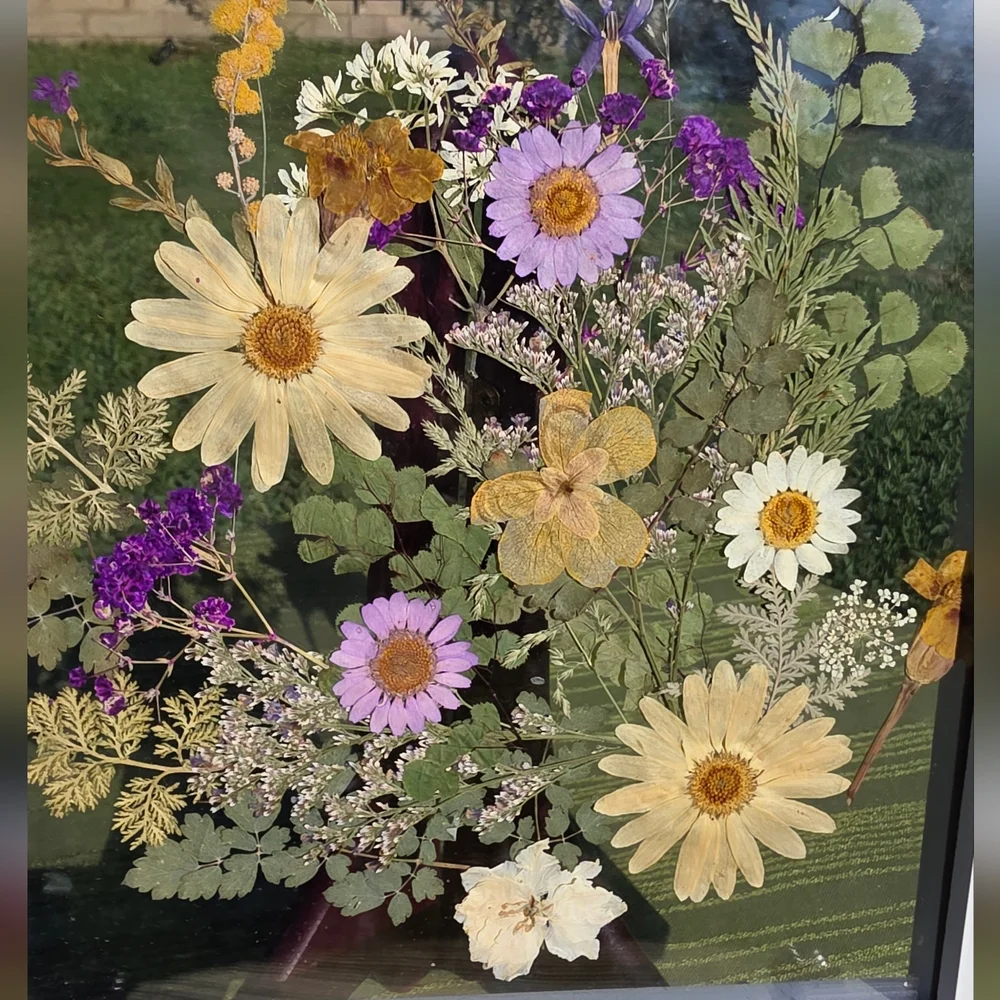 Pressed Wildflower Art in White Floating Frame - Picture 2 of 4